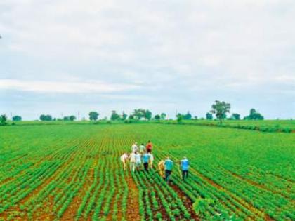 Crop insurance company rejected 4 thousand applications A flood of complaints | पीक विमा कंपनीने नाकारले ४ हजार अर्ज; तक्रारींचा पाऊस 