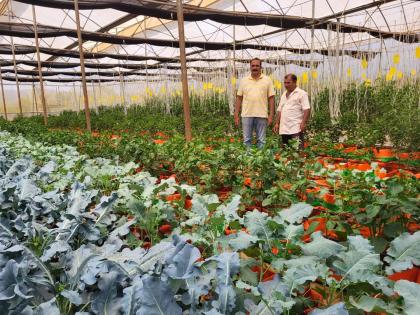 Gadganj gave up a salary job and started Phulvala vegetable garden, mushroom farming with exotic vegetables on the Malrana of Madkhol. | गडगंज पगाराची नोकरी सोडून फुलवला भाजीचा मळा, माडखोलच्या माळरानावर विदेशी भाज्यासह मशरूमची शेती