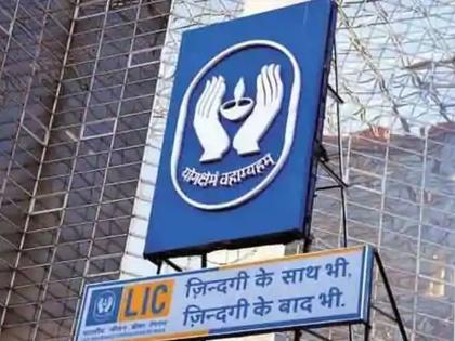 यंदा LIC चा आयपीओ मालामाल करणार; या कंपन्या करणार शेअर बाजारात एन्ट्री