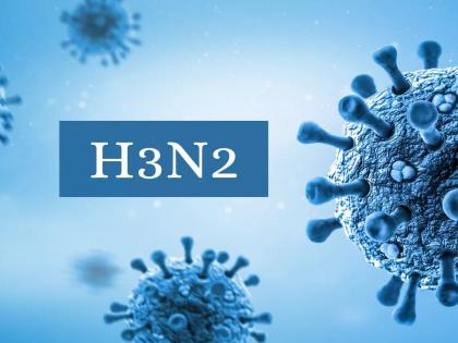 Entry of H3N2 virus into dhule | धुळ्यात एच३ एन२ विषाणूचा शिरकाव