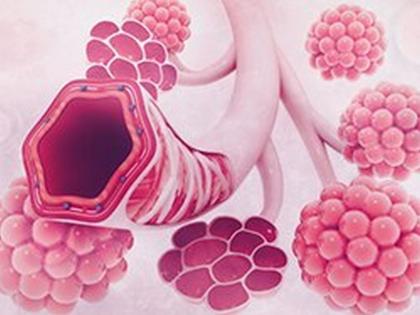 CoronaVirus: Risk of 'Fibrosis' Even After Recovering from Corona! | CoronaVirus : कोरोनातून बरे झाल्यानंतरही ‘फायब्रोसीस’चा धोका!