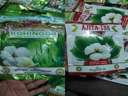 Why mail, female packets Who's the Mastermind Bogus cotton seed production scheme | मेल, फिमेलची पाकिटे कशासाठी? मास्टरमाईंड कोण?; बोगस कपाशी बियाण्यांच्या प्रॉडक्शनचा डाव