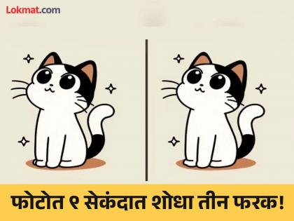 Optical Illusion : Can you find 3 difference in this cat photo in 9 second | मांजरीच्या एकसारख्या दिसणाऱ्या फोटोत शोधून दाखवा ३ फरक, ठराल जीनिअस!