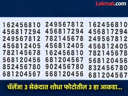 फोटोत शोधायचा आहे 3 हा नंबर, तोही 3 सेकंदात; बरेच थकले, पाहा तुम्हीही ट्राय करा