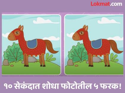 Optical Illusion : Can you spot the five differences in these two pictures in ten seconds | चॅलेंज! एकसारख्या दिसणाऱ्या दोन फोटोत ५ फरक शोधण्याचं चॅलेंज, १० सेकंदाची आहे वेळ!