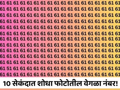 Optical Illusion : Can You Find The Hidden Number 51 In This Image | 10 सेकंदात शोधून दाखवा फोटोतील वेगळा नंबर, जास्तीत जास्त लोक झाले फेल!