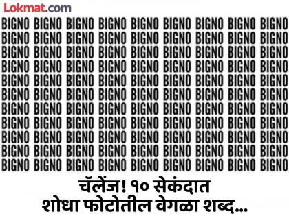 Optical Illusion : Spot the Hidden Word 'BINGO' in This Picture in 10 Seconds! | चॅलेंज! ९९ टक्के लोक १० सेकंदात शोधू शकले नाही फोटोतील वेगळा शब्द, तुम्हीही ट्राय करा!