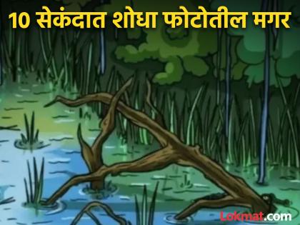 Optical Illusion : Spot the crocodile in under 10 seconds | चॅलेंज! 10 सेकंदात शोधून दाखवा फोटोतील नदीत लपलेली मगर, 99 टक्के लोक झाले फेल!