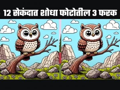 Optical Illusion : Can you spot three differences in 12 seconds in this Owl picture | घुबडाच्या 'या' फोटोत आहेत ३ फरक, भलेभले शोधून थकले; तुम्हीही ट्राय करा!