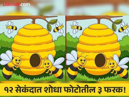 Optical Illusion : Only genius can find 3 difference in this bee photo in 12 second | चॅलेंज! मधमाश्यांच्या एकासारख्या दिसणाऱ्या दोन फोटोत आहेत ३ फरक, १२ सेकंदात शोधा!