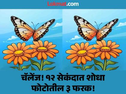 Optical Illusion : Can You find 3 differences between the butterfly pictures | चॅलेंज! जीनिअस असाल तर शोधून दाखवा फोटोतील ३ फरक, १२ सेकंदाची आहे वेळ!