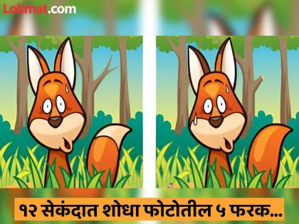 Optical Illusion : Can you find 5 difference in this fox photo in 12 second | १२ सेकंदात शोधून दाखवा कोल्ह्याच्या फोटोतील ५ फरक, जास्तीत जास्त लोक झाले फेल...