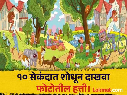 Optical illusion : Can you spot elephant in 10 seconds | चॅलेंज! 10 सेकंदात शोधून दाखवा फोटोतील हत्ती, भले भले झालेत फेल!