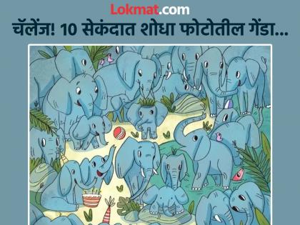 Optical illusion : Find a rhinoceros among the elephants within 10 seconds | चॅलेंज! १० सेकंदात हत्तींच्या गर्दीत शोधून दाखवा एक गेंडा, शोधाल तर ठराल जीनिअस!