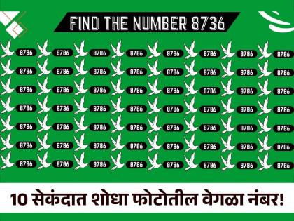 Optical Illusion : Sharpest eyes people can find the Number 8736 in 10 Secs | जीनिअस असाल तर 10 सेकंदात शोधून दाखवा फोटोतील वेगळा नंबर, 99 टक्के लोक झाले फेल!