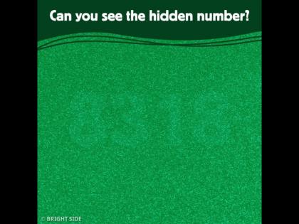 eye test find the number in this photo | Eye test: तुमची नजर आहे का तीक्ष्ण, पाहा या फोटोत दडलेला नंबर सापडतोय का?