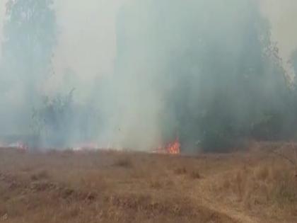 A fire broke out at Ashiye ground in Sindhudurga, the fire was brought under control with tireless efforts | सिंधुदुर्गातील आशिये माळरानाला लागली आग, अथक प्रयत्नांनी आग आटोक्यात