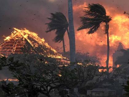 An entire city in America has been burnt down in a fierce fire, a gift sent from India 150 years ago is also in danger | भीषण वणव्यात अमेरिकेतील संपूर्ण शहर जळून खाक, भारतातून १५० वर्षांपूर्वी पाठवलेली भेटही संकटात