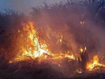 farmer from Pole village died in a farm fire pune latest crime news | पुणे : पोळे गावातील शेतकऱ्याचा वनव्यात आगीत होरपळून दुर्दैवी मृत्यू 