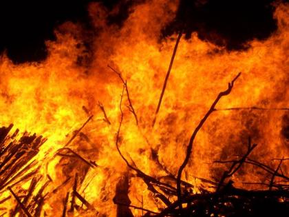 Fire in the barn; death of two cattle | गोठ्यास आग;दोन गुरांचा मृत्यू