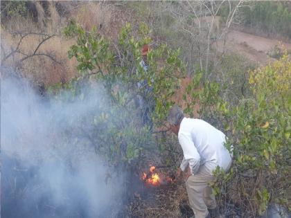 Wildfire in the area of caves on Agashiv mountain in Satara, four acres of forest resources were burnt | Satara News: आगाशिव डोंगरावर लेण्यांच्या परिसरात वणवा, चार एकरातील वनसंपदा जळून खाक 