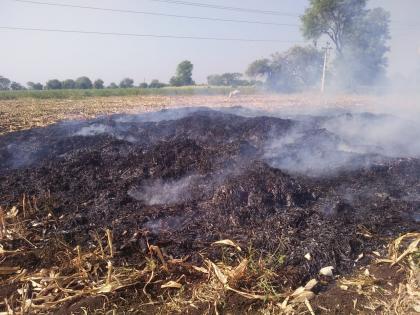 Three acres of crop burnt down | तीन एकरावरील मका जळून खाक; वीज तारांमधील घर्षणाने लागली आग 