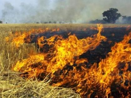 Session of Soyabean burnt in Washim district, farmers' awakening | वाशिम जिल्ह्यात सोयाबीनच्या सुड्या जळण्याचे सत्र, शेतकऱ्यांचे जागरण 