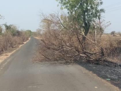 fire to tree root and then cutting it | मुळाशी आग  लावून झाडे पाडण्याच्या प्रकारात वाढ!