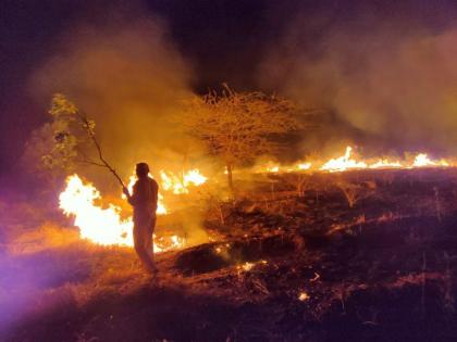 Forest fires in Khambale; The ashes of twenty thousand trees | खंबाळेमध्ये वनक्षेत्रात आगीचे तांडव; वीस हजार वृक्षांची राख