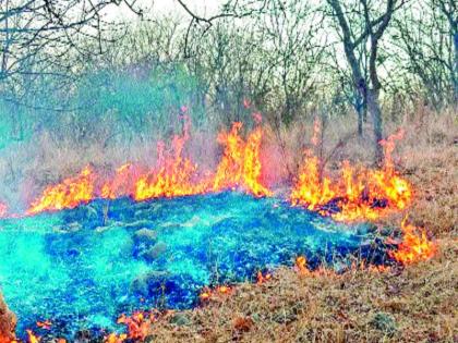 Technology will create firefight due to climate change and summer | टेक्नॉलॉजी करणार वणव्यांचा सामना, उन्हाळ्यामुळे आगीच्या घटना वाढणार