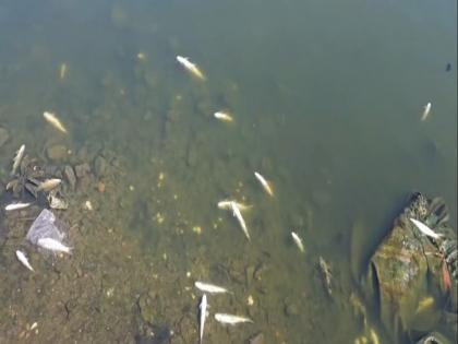 Video : इंद्रायणी विषारी, प्रशासन निरुत्तर..! नागरिकांचा संताप शिगेला