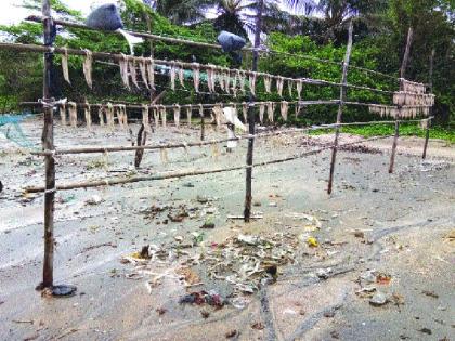 Due to rainy fishery, hunger strike on fishermen | पावसाचा मच्छीलाही फटका, मच्छीमारांवर उपासमारीची पाळी