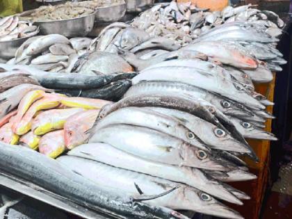 Minimum legal size of 54 fish fixed, government decision passed | ५४ माशांचे किमान कायदेशीर आकारमान निश्चित, शासन निर्णय पारित 