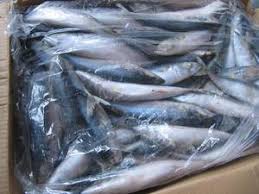 Formalin found in fish; order a deep inquiry into the report | फॉर्मेलिनप्रश्नी त्या अहवालाच्या सखोल चौकशीचे आदेश