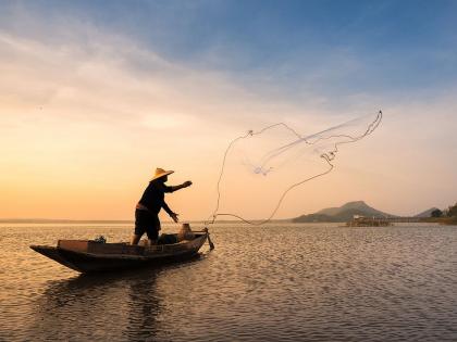 A fisherman casts a net in the river to catch fish, but finds nothing, then... | मच्छिमाराने मासे पकडण्यासाठी नदीत जाळं टाकलं, पण सापडलं असं काही, त्यानंतर...