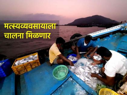 Government decision to grant agricultural status to fisheries sector issued Implementation to begin today | मत्स्यव्यवसाय क्षेत्राला कृषी दर्जा देण्याचा शासन निर्णय जारी; आजपासून होणार अंमलबजावणी Government decision to grant agricultural status to fisheries sector issued Implementation to begin today | मत्स्यव्यवसाय क्षेत्राला कृषी दर्जा देण्याचा शासन निर्णय जारी; आजपासून होणार अंमलबजावणी
