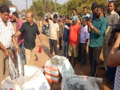 Instead of insulated trucks, now the arrival of fish in Goa from the buses | इन्सुलेटेड ट्रकऐवजी गोव्यात आता चक्क प्रवासी बसमधून मासळीची आवक