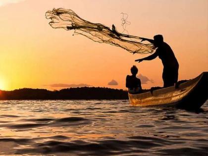 Fish production increases by 29 thousand metric tons; Crackdown on illegal fishing proves beneficial | मत्स्य उत्पादनात २९ हजार मेट्रिक टनची वाढ; बेकायदा मासेमारीला पायबंद ठरला लाभदायी