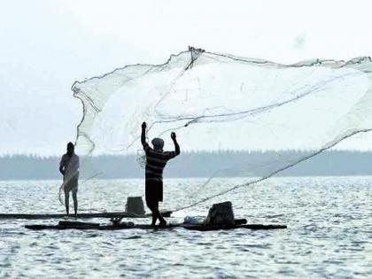 The Committee of Ground Reservoir Fish Business will study, the decision of the Government | भूजलाशयीन मत्स्य व्यवसायाचा समिती करणार अभ्यास, शासनाचा निर्णय