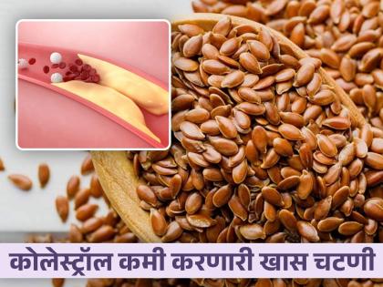 Chutney of falx seeds to control bad cholesterol level | बॅड कोलेस्ट्रॉल लगेच होईल कमी, रोज खा या खास बियांची चटणी; जाणून घ्या कशी बनवाल!