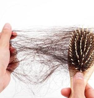 केसांची वाढ थांबलीये, केस गळतात 'या' बियांचा करा वापरा; लोक विचारत सुटतील उपाय