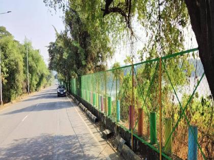 Detachment of fence at DPS pond to protect flamingos in navi mumbai | फ्लेमिंगोंच्या संरक्षणासाठी  डीपीएस तळ्यावर  कुंपणाचा उतारा