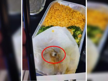 woman claims broken tooth in meal in flight airways officials responds netizens get angry | Viral Photo, Teeth in Meal: विमानातील जेवणात सापडला 'दात'; एअरलाईन्सच्या अजब उत्तरावर नेटकऱ्यांचा संताप