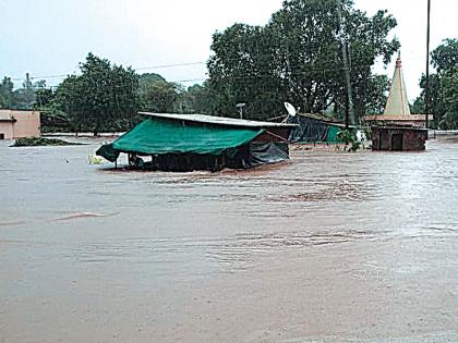 The nursery was transported right across the river to Bhatasa | भातसा नदीला आलेल्या पुरात रोपवाटिका गेली वाहून