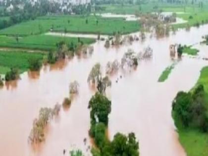 45 thousand hectares of sugarcane in Kolhapur under flood water | कोल्हापुरातील ४५ हजार हेक्टर ऊस पुराच्या पाण्याखाली; 'या' तालुक्यांना अधिक फटका