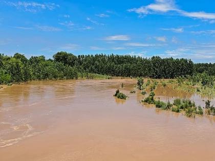 Heartbreaking! Shocked farmer dies after seeing his farm drowned in flood water | हृदयद्रावक! पुराच्या पाण्यात शेती बुडाली, पाहून धक्का बसलेल्या शेतकऱ्याचा मृत्यू 