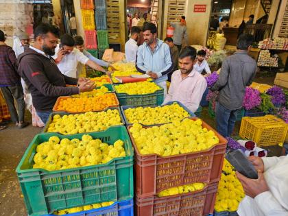 Bhav ate with marigold flowers this year on Dussehra; Marigold costs Rs 80 to 100 per kg | Dasara: दसऱ्याला यंदा झेंडूच्या फुलांनी खाल्ला भाव; प्रतिकिलो झेंडूला मोजावे लागतायेत ८० ते १०० रुपये