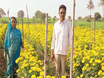 Millions of rupees earned by farmer from flower farming | फुलशेतीतून शेतकऱ्याने कमावले लाखो रुपये