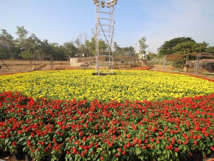  KSBP has organized a flower festival from 24th to the growth of Kolhapur district | कोल्हापूर : ‘केएसबीपी’तर्फे २४ पासून फ्लॉवर फेस्टिव्हल, जिल्ह्याच्या पर्यटनवाढीसाठी नवी दिशा