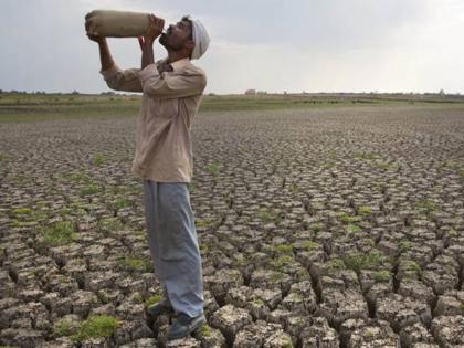 In the Palghar district for the drought-hit Marathwada farmers' employment | दुष्काळी मराठवाड्यातील शेतकरी रोजगारासाठी पालघर जिल्ह्यात